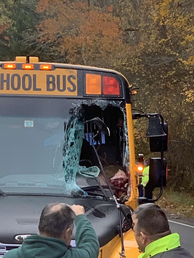 A+direct+view+into+the+wreckage+caused+by+a+deer+jumping+through+the+window+of+a+DHS+bus.+Bus+driver+Mark+Jardin+kept+students+safe+throughout+the+experience.