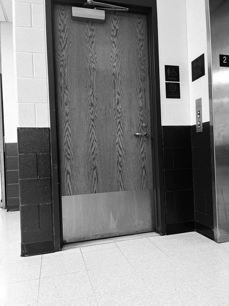 The new DHS bathroom protocols organize the time students are allowed to access the bathroom. Are they positively or negatively impacting the student body?